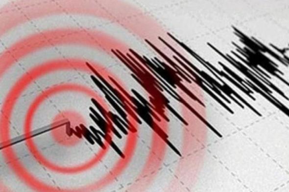 زلزال بقوة 7 ريختر يضرب ساحل كاليدونيا الجديدة وسط تحذيرات من تسوناني