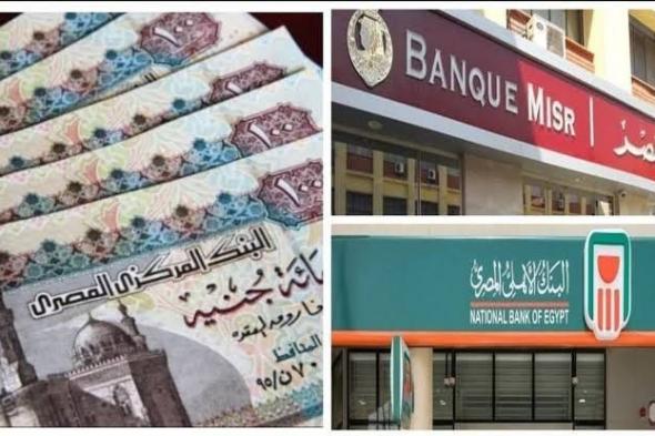 بأعلى عائد.. بدائل شهادات ادخار الـ 25 % عقب إيقافها في البنوك