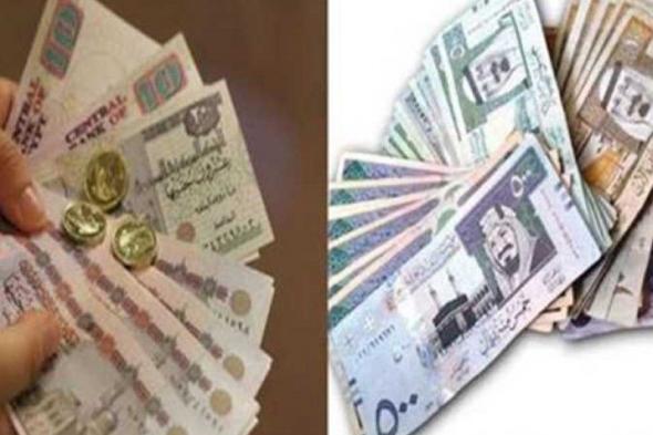 سعر الريال السعودي والعملات العربية أمام الجنيه اليوم