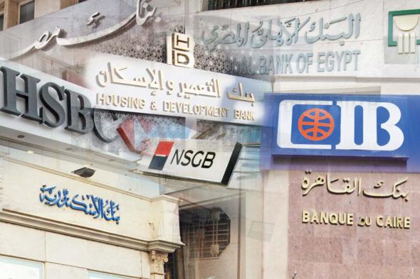 بعد رفع سعر الفائدة.. فخري الفقي يكشف عن طرح شهادات بعوائد جديدة بهذا التوقيت