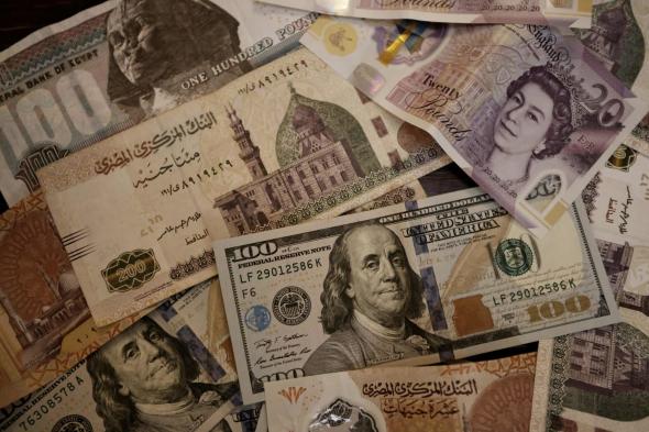 تصريح صادم من اقتصادي بشأن تحريك سعر الصرف خلال أيام