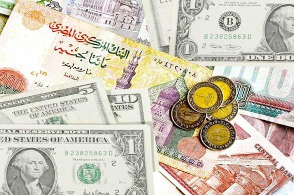 سعر دولار اليوم الأحد مقابل الجنيه مع بداية التعاملات البنكية