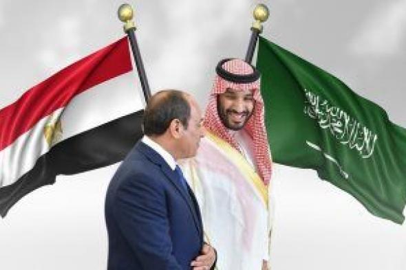 تعزيز العلاقات.. الرئيس السيسى يلتقى ولى العهد السعودى فى جدة (إنفوجراف)