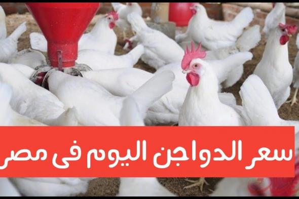 انخفاض يزعل في أسعار الفراخ اليوم 28 يناير.. هذا النوع الأرخص سعرا