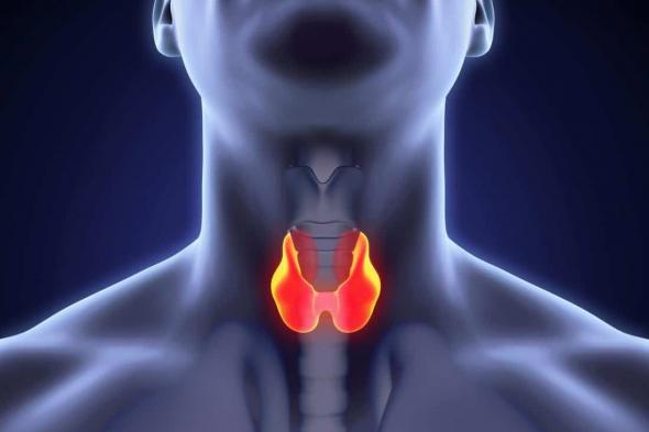 علامات تحذيرية تنذر بوجود مشاكل في الغدة الدرقية