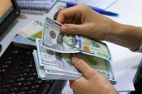 سعر الدولار في السوق السوداء اليوم الخميس 22 فبراير .. تجار العملة عندهم موته