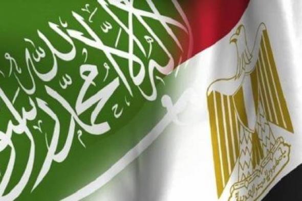 قصة صعود الاستثمارات السعودية في مصر خلال 10 سنوات.. 6.378 مليار دولار القيمة الإجمالية منذ العام المالى 2014/20215.. وأعلى قيمة استثمار سجلها العام الماضي 2023 بـ2.4 مليار دولار.. إنفوجراف