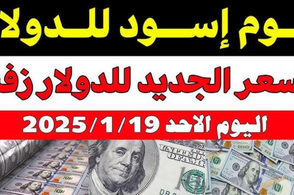 أخبار مصر | كم سعر 100 دولار اليوم في السوق السوداء؟.. ارتفاع سعر الدولار مقابل الجنية المصري