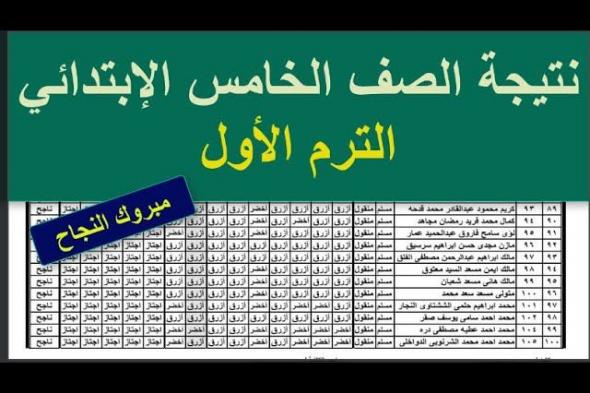 أخبار مصر | الآن نتيجة الصف الخامس الابتدائي بالاسم ورقم الجلوس عبر بوابة التعليم الأساسي eduserv.cairo.gov.eg