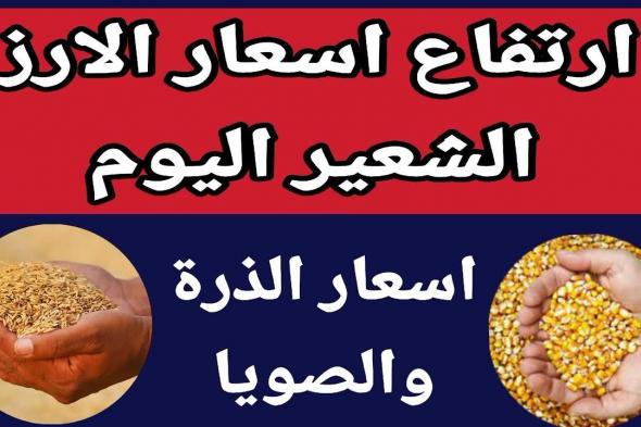 أخبار مصر | إشتري قبل رمضان.. سعر طن الأرز الشعير اليوم الاحد للتجار في مصر