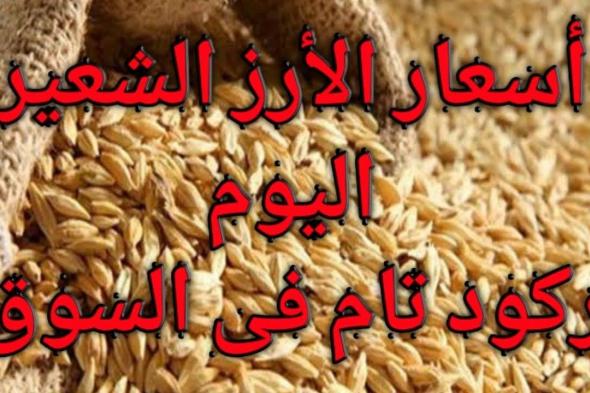 سعر طن الأرز الشعير اليوم الاثنين في مصر.. الرفيع والعريض بكام؟