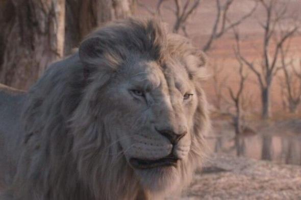 شاهد .. "فيلم "Mufasa: The Lion King" يحقق إيرادات جديدة في شباك التذاكر العالمي